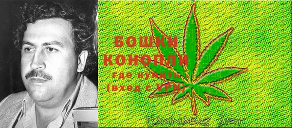 спиды Осташков