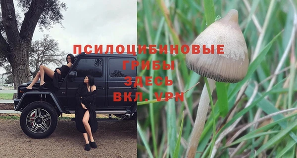 а пвп мука Осинники