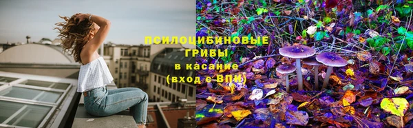а пвп мука Осинники