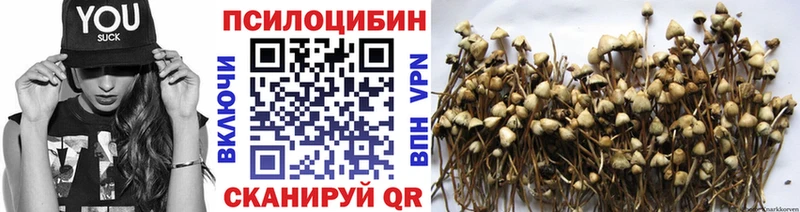 магазин продажи наркотиков  Кяхта  Галлюциногенные грибы мицелий 